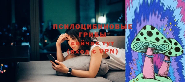 спайс Алексин