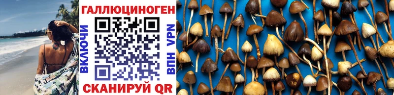 купить  сайты  Моздок  mega ССЫЛКА  Галлюциногенные грибы мицелий 